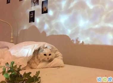 關(guān)于人生哲理30條句子 不要跟眼界不一樣的人爭辯1