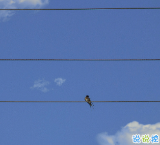 關(guān)于宇宙的極致浪漫句子 宇宙從有序到無(wú)序暫時(shí)經(jīng)歷的一個(gè)過(guò)程15