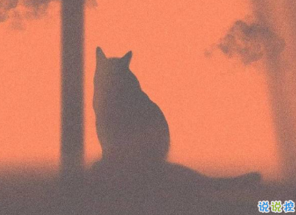 賦有詩意的文藝30條句子 墜歡莫拾酒痕在衣2