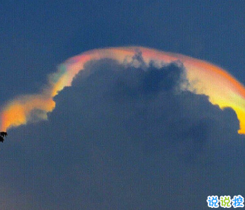 看到第一眼就很喜歡的句子 一見如故生萬千歡喜心1