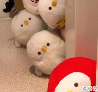 分享一波沙雕可愛的句子 想要甜甜的戀愛餿的也行1