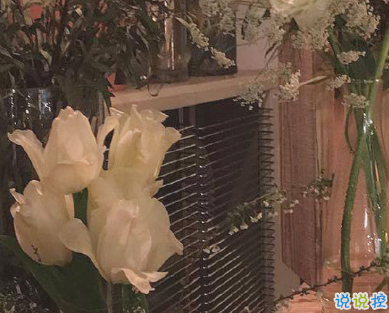 改掉壞毛病有道理的句子 圈子不同不必強融2