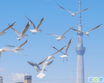 官宣分手時可以發(fā)的文案 遠距離關心各自變老1