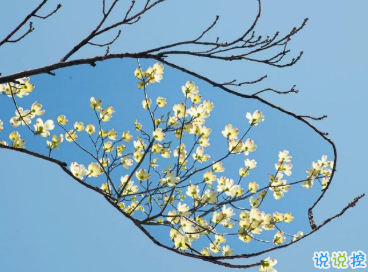 一些特別戳心窩的句子 想陪你看月落重生燈再紅7