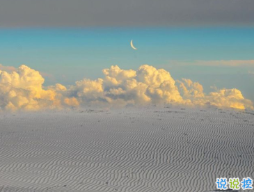 一些特別戳心窩的句子 想陪你看月落重生燈再紅8