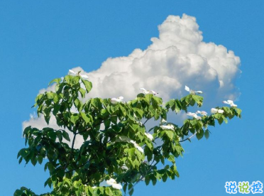 一些特別戳心窩的句子 想陪你看月落重生燈再紅9