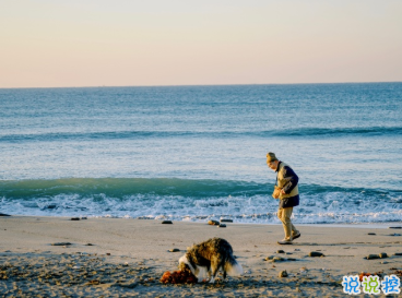 一些特別戳心窩的句子 想陪你看月落重生燈再紅13