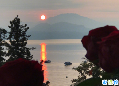 可愛到冒泡的空間個性文案 愿得一人心免得老相親2