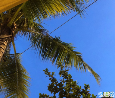 寫到人心坎里面得句子 我與我周旋久寧作我2