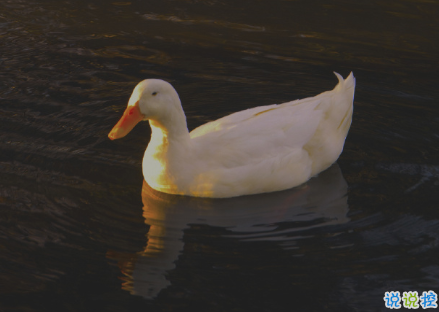 甜蜜的給情侶留言的句子 你來(lái)的話日子會(huì)甜一點(diǎn)1