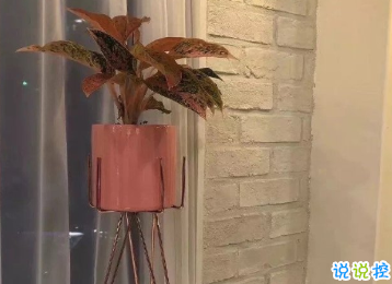 讀一次就覺得很震撼的句子 人間的真話本來不多11