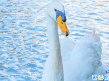 來自九月的溫柔語錄 這里有一份秋日溫柔請簽收12