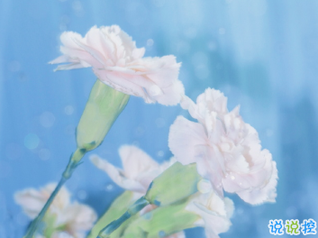 來自九月的溫柔語錄 這里有一份秋日溫柔請簽收15