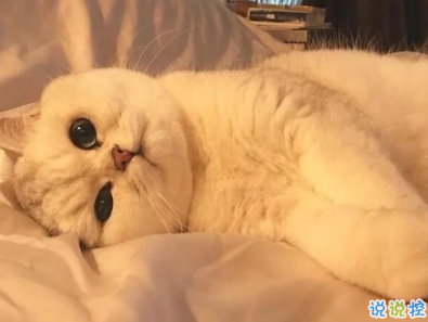 一個人的時候心情說說   難過就是雖然很難但總會過去1