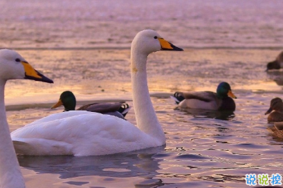 朋友圈那些有意思的語(yǔ)錄 下課鈴一響精神百倍1