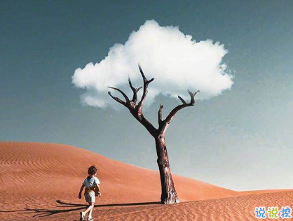 最新的扎心傷感語(yǔ)錄 是說(shuō)不出口的喜歡1