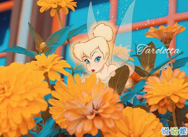 聽(tīng)起來(lái)讓人很溫暖的文案 無(wú)風(fēng)無(wú)月也無(wú)你1