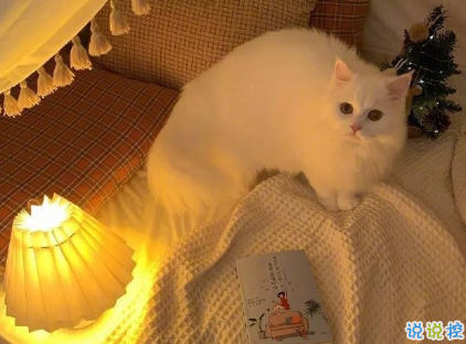 網(wǎng)易云熱評墻個性文案 難提起更難放下1