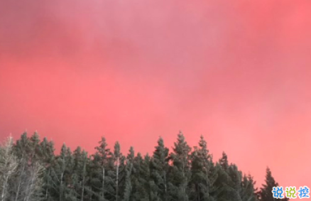 最舞人心得勵(lì)志說說 無牽無掛無欲無求1