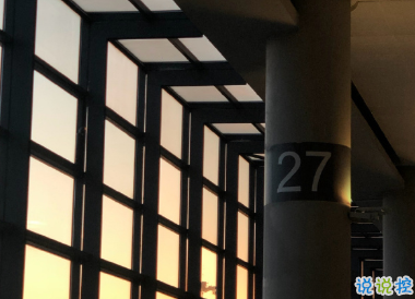 老舍先生通透走心的句子 越不肯努力便越自憐3