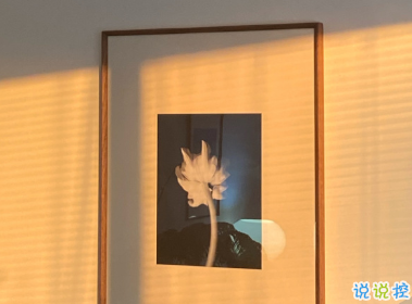 老舍先生通透走心的句子 越不肯努力便越自憐12