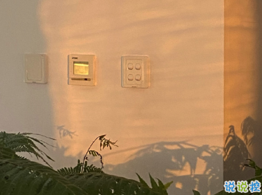 老舍先生通透走心的句子 越不肯努力便越自憐13