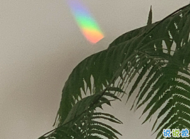 老舍先生通透走心的句子 越不肯努力便越自憐15