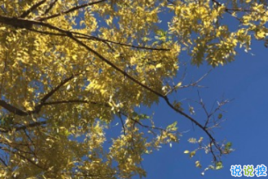 秋分早安晚安空間語錄 祝您秋分如意天天歡笑1