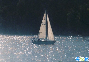 最舒心的表達(dá)我想你的方式 春天該很好你若尚在場1