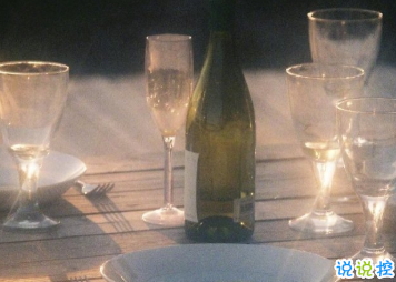 最舒心的表達(dá)我想你的方式 春天該很好你若尚在場2