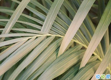 2020年只剩100天朋友圈語錄 心情感言傷感說說1