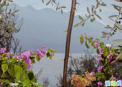 2020年只剩100天朋友圈語錄 心情感言傷感說說6