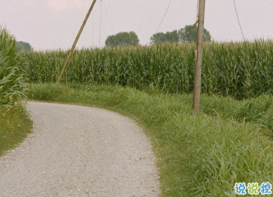 2020年只剩100天朋友圈語錄 心情感言傷感說說9