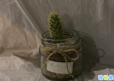 2020年只剩100天朋友圈語錄 心情感言傷感說說14