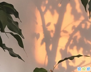 30句總能驚艷到你的句子 從人群中倉皇逃走2