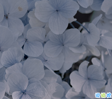 15句失望無助時激勵你的的句子 生而有翼不要一生匍匐前進(jìn)2