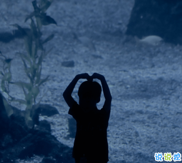 15句失望無助時激勵你的的句子 生而有翼不要一生匍匐前進(jìn)3