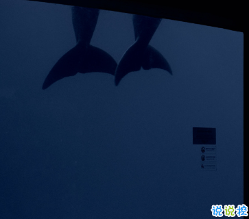 15句失望無助時激勵你的的句子 生而有翼不要一生匍匐前進(jìn)6