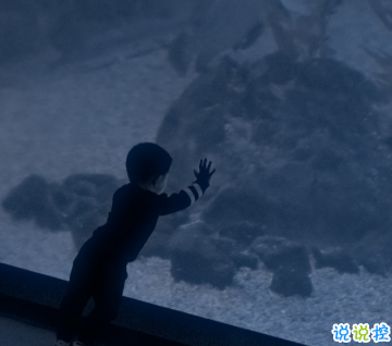 15句失望無助時激勵你的的句子 生而有翼不要一生匍匐前進(jìn)8