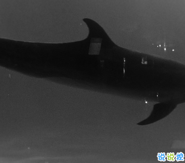 15句失望無助時激勵你的的句子 生而有翼不要一生匍匐前進(jìn)9