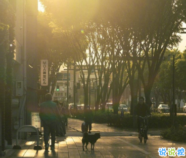 15句失望無助時激勵你的的句子 生而有翼不要一生匍匐前進(jìn)11