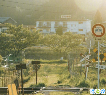 15句失望無助時激勵你的的句子 生而有翼不要一生匍匐前進(jìn)14