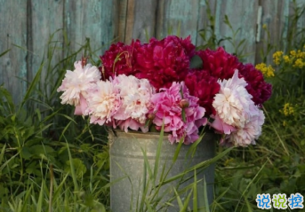 讓你過(guò)目不忘的八字句子 布衣飯菜可樂(lè)終身2