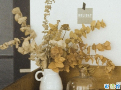 讓你一眼就能愛上的句子 江月何曾皺眉1