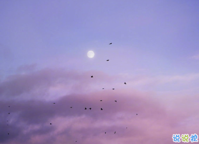 讓人很驚艷的唯美句子 那些像詩一樣的句子2