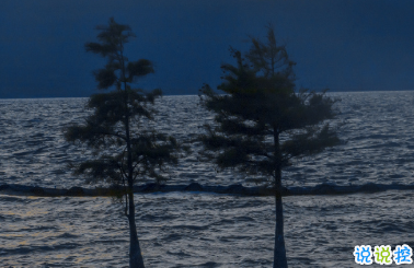 賦有哲理的15條精選句子 生未百年死不孤獨(dú)9