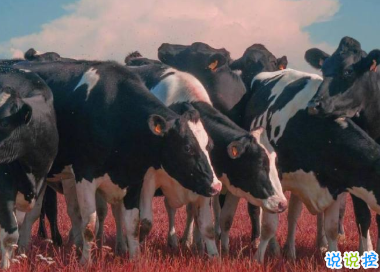 賦有哲理的15條精選句子 生未百年死不孤獨(dú)13