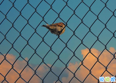 賦有哲理的15條精選句子 生未百年死不孤獨(dú)15