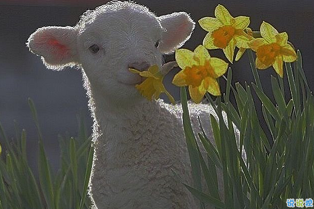 特別委屈時發(fā)的朋友圈文案 道聽途說你怎么不直接問我1