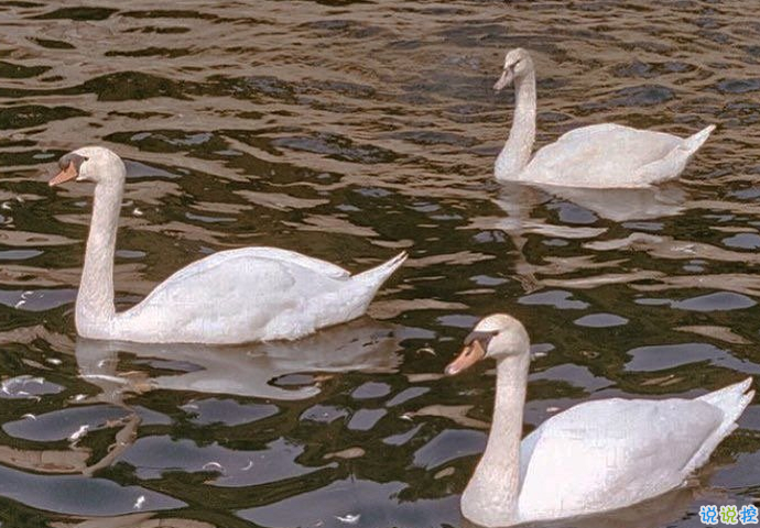 特別委屈時發(fā)的朋友圈文案 道聽途說你怎么不直接問我2